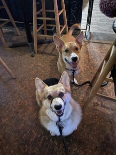 Lagétta Pasta & Pub foto